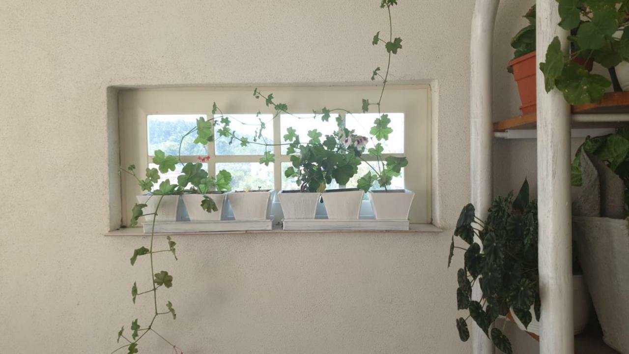 דירות Valea Iasului La Curtea Argeseana מראה חיצוני תמונה